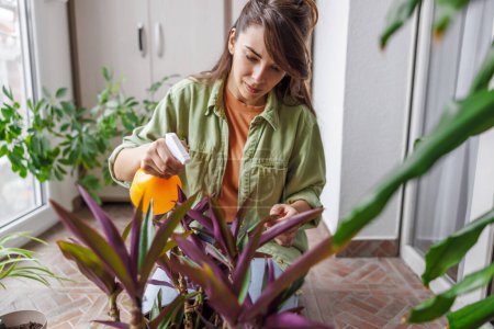 Téléchargez les photos : Jeune femme jouissant de loisirs à la maison, prenant soin des plantes d'intérieur sur son balcon, pulvérisant des feuilles avec de l'eau - en image libre de droit