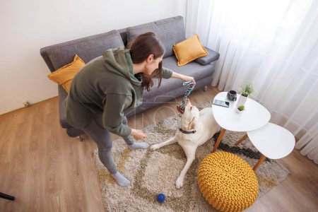 Photo for High angle view of beautiful young woman having fun playing with her dog while spending leisure time at home - Royalty Free Image