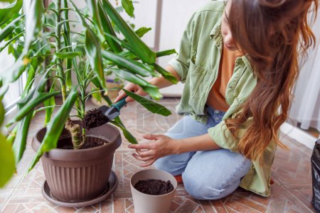 Téléchargez les photos : Femme se détendre à la maison par le jardinage, la plantation de plantes de maison dans des pots de fleurs, l'ajout de terre à l'aide de petite pelle. Focus sur la pelle - en image libre de droit