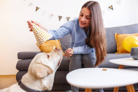 Photo for Beautiful young woman having fun making a birthday party for her dog, putting party hat on his head - Royalty Free Image