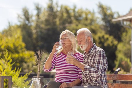Photo for Senior couple enjoying their time together having breakfast in the backyard of their home, drinking lemonade and relaxing outdoors - Royalty Free Image