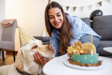 Foto de Perro con sombrero de fiesta que tiene una fiesta de cumpleaños en casa; mujer que tiene una fiesta para su perro que le trae pastel de cumpleaños - Imagen libre de derechos