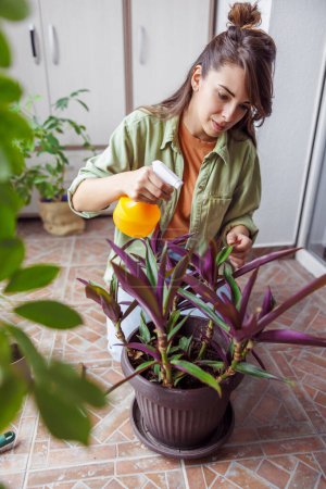 Téléchargez les photos : Jeune femme jouissant de loisirs à la maison, prenant soin des plantes d'intérieur sur son balcon, pulvérisant des feuilles avec de l'eau - en image libre de droit