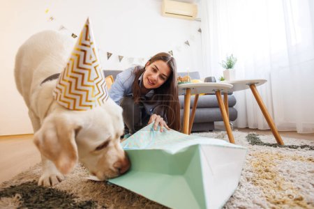 Foto de Hermosa mujer joven que se divierte celebrando el cumpleaños de su perro mascota en casa, dándole golosinas y regalos - Imagen libre de derechos