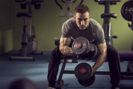 Photo for Young muscular built athlete working out in a gym, sitting on a weightlifting machine and lifting two dumbbells - Royalty Free Image