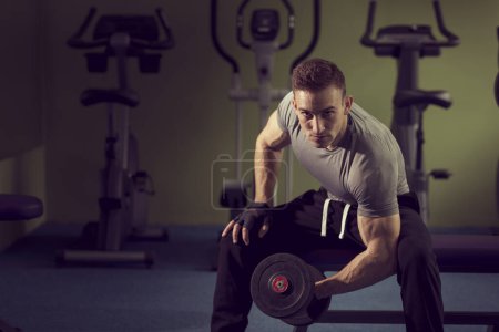 Photo for Young muscular built athlete working out in a gym, sitting on a weightlifting machine and lifting two dumbbells - Royalty Free Image