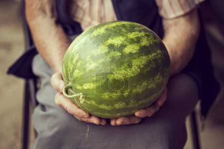 Photo for A man holding a watermelon in his hands - Royalty Free Image