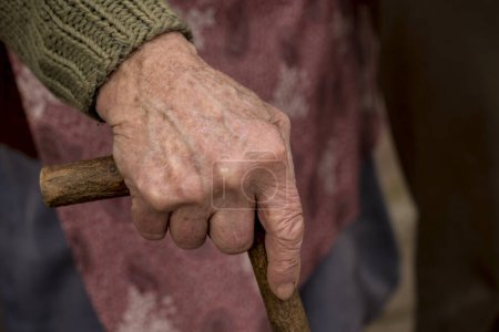 Photo for Elderly woman holding stick - Royalty Free Image