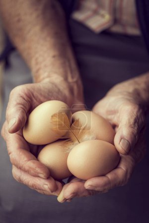 Foto de Un hombre sosteniendo un montón de huevos en sus manos - Imagen libre de derechos