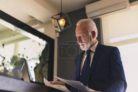 Téléchargez les photos : Homme d'affaires senior dans un bureau moderne travaillant sur un ordinateur portable et analysant les contrats et la documentation, sérieux et coûteux - en image libre de droit
