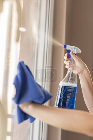 Téléchargez les photos : Détail des mains féminines nettoyant les fenêtres avec un spray nettoyant et un chiffon ; aide ménagère essuyant les fenêtres - en image libre de droit