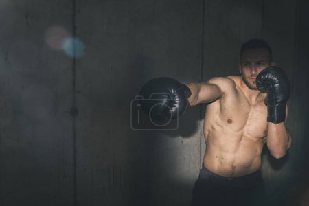 Photo for Fit muscular man wearing boxing gloves, getting ready for a boxing match - Royalty Free Image