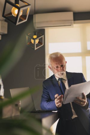 Téléchargez les photos : Homme d'affaires senior dans un bureau moderne travaillant sur un ordinateur portable et analysant les contrats et la documentation, sérieux et coûteux - en image libre de droit