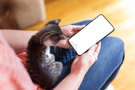 Foto de Detalle de las manos femeninas sosteniendo un teléfono inteligente y escribiendo un mensaje de texto mientras acaricia a lindo gatito curioso - Imagen libre de derechos