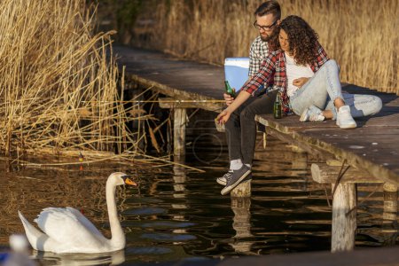 Téléchargez les photos : Couple assis sur les quais du lac, nourrir les cygnes, boire de la bière et s'amuser - en image libre de droit