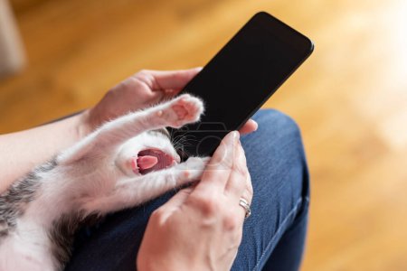 Téléchargez les photos : Détail des mains féminines tenant un téléphone intelligent et tapant un message texte tout en tenant chaton endormi mignon - en image libre de droit