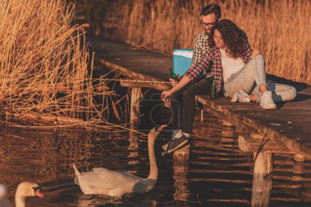 Téléchargez les photos : Couple assis sur les quais du lac, nourrir les cygnes, boire de la bière et s'amuser - en image libre de droit