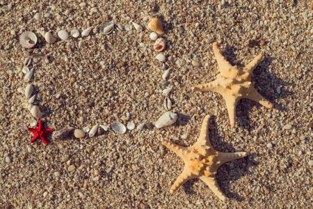 Photo for Photo frame made of seashells and pebbles on the beach with two starfish placed next to it and empty space inside of it - Royalty Free Image