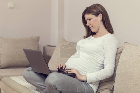 Téléchargez les photos : Femme enceinte assise sur un canapé dans un salon et surfant sur le net sur un ordinateur portable - en image libre de droit
