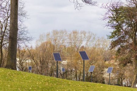 Foto de Paneles solares en una fila que alimentan las luces de las calles del parque como parte de un proyecto para popularizar fuentes alternativas de energía renovable y energía verde - Imagen libre de derechos