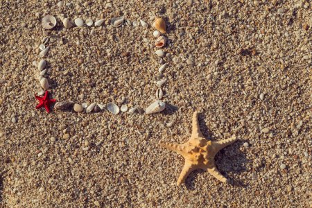 Téléchargez les photos : Cadre photo en coquillages et galets sur la plage - en image libre de droit