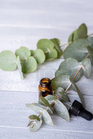 Essential oils in small glass bottles with eucalyptus sprigs on a wood background. Selective focus and copy space for text. Natural cosmetic products.