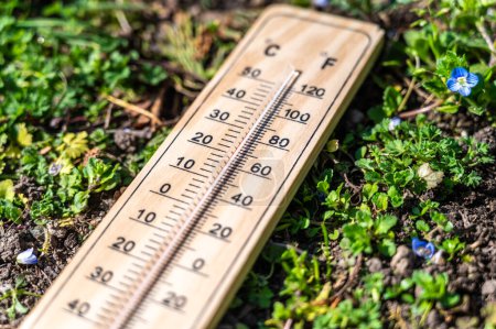 Termómetro en la hierba. Aumento de las temperaturas y calentamiento global.