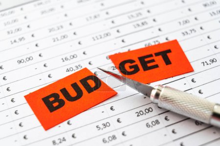 Tabelle mit Budget, Ausgaben, Einnahmen und Eintrittskarte mit Budegt Text in zwei Hälften geschnitten. Haushaltskürzungen.