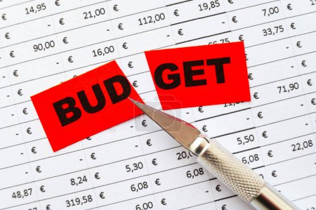 Tableau avec budget, dépenses, recettes et billet avec texte Budegt coupé en deux. Réduction budgétaire.