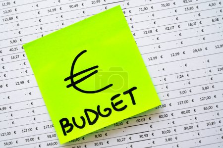 Table with budget, expenses, revenues and ticket with Euro symbol.
