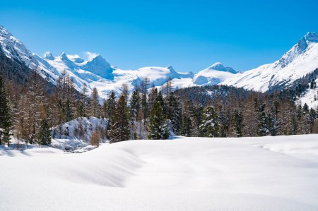 Téléchargez les photos : Val Roseg, en Engadine, Suisse, en hiver, avec pistes de ski de fond enneigées. - en image libre de droit