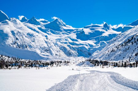 Val Roseg, im Engadin, Schweiz, im Winter mit schneebedeckten Langlaufloipen.