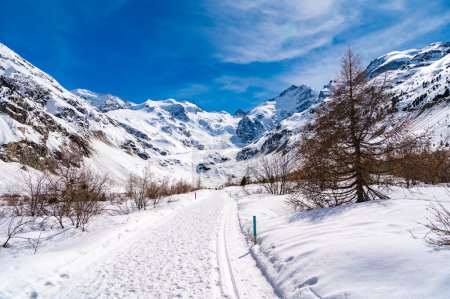 Vista de cerca del glaciar Morteratsch en invierno, Engadin, Suiza.