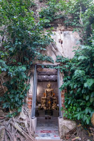 Foto de El Buda en el Wat Bang Kung en la ciudad de Amphawa en la provincia de Samut Songkhram en Tailandia, Tailandia, Amphawa, noviembre, - Imagen libre de derechos