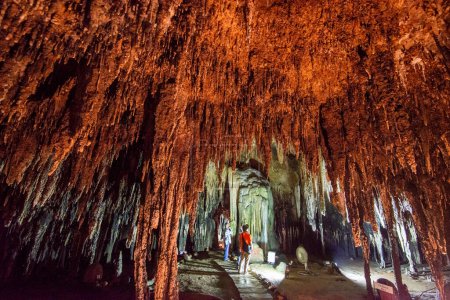 Photo for The Tham Khao Bin Cave near the City of Ratchaburi in the Province of Ratchaburi in Thailand,  Thailand, Ratchaburi, November, 2022 - Royalty Free Image