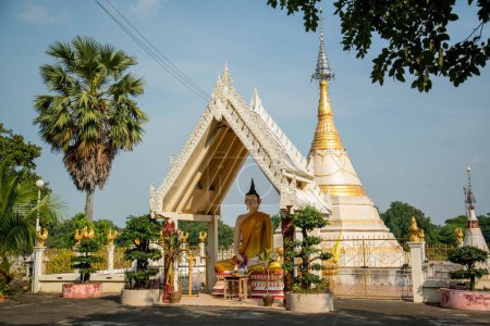 Téléchargez les photos : Un Bouddha au centre d'études Wat Muang Mon près de la ville de Ratchaburi dans la province de Ratchaburi en Thaïlande, Thaïlande, Ratchaburi, novembre 2022 - en image libre de droit