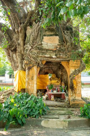 Téléchargez les photos : Un ancien sanctuaire et temple de Bouddha au centre d'étude Wat Muang Mon près de la ville de Ratchaburi dans la province de Ratchaburi en Thaïlande, Thaïlande, Ratchaburi, novembre 2022 - en image libre de droit