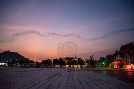 Photo for One Million Bat fly out of the Kang Khao Cave at the Wat Khao Chong Phran near the City of Ratchaburi in the Province of Ratchaburi in Thailand,  Thailand, Ratchaburi, November, 2022 - Royalty Free Image