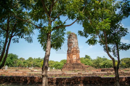 Photo for A Temple Stupa at the Wat Lokayasutharam in the City Ayutthaya in the Province of Ayutthaya in Thailand,  Thailand, Ayutthaya, November, 2022 - Royalty Free Image