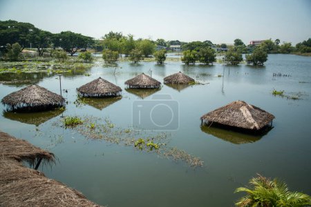Photo for A Restaunt and Field in the flooding near the City of Ayutthaya in the Province of Ayutthaya in Thailand,  Thailand, Ayutthaya, November, 2022 - Royalty Free Image