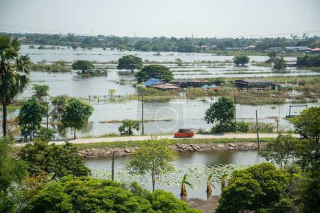 Photo for A agriculture Field in the flooding near the City of Ayutthaya in the Province of Ayutthaya in Thailand,  Thailand, Ayutthaya, November, 2022 - Royalty Free Image