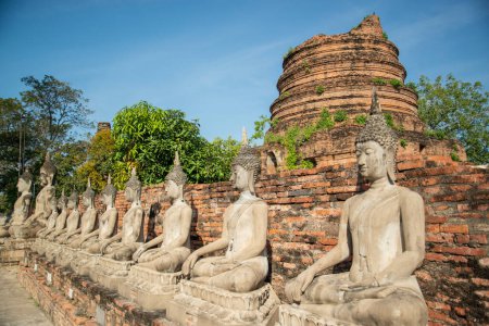 Téléchargez les photos : A Buddha with the Chedi of the Wat Yai Chai Mongkon in the City Ayutthaya in the Province of Ayutthaya in Thailand,  Thailand, Ayutthaya, November, 2022 - en image libre de droit