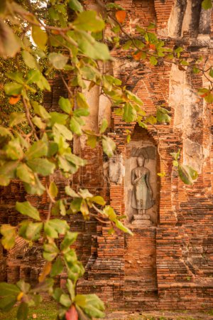 Téléchargez les photos : The Tempe Ruins of the Wat Mahathat in the City Ayutthaya in the Province of Ayutthaya in Thailand,  Thailand, Ayutthaya, November, 2022 - en image libre de droit