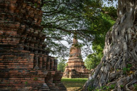 Foto de The Temple Ruins of Wat Jao Prap in the City Ayutthaya in the Province of Ayutthaya in Thailand,  Thailand, Ayutthaya, November, 2022 - Imagen libre de derechos