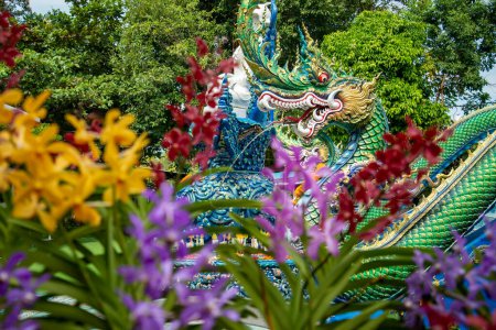 Photo for Orchid at the Wat Khao Phra Khru in the City of Si Racha in the Province of Chonburi in Thailand,  Thailand, Siracha, November, 2022 - Royalty Free Image