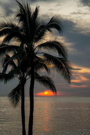 Téléchargez les photos : A sunset at the Beach and coast at the Beach Road in the city of Jomtien near Pattaya in the Province of Chonburi in Thailand,  Thailand, Jomtien, November, 2022 - en image libre de droit