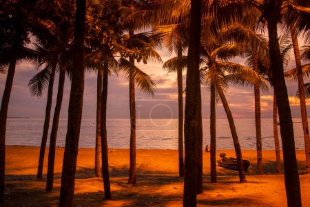 Téléchargez les photos : A sunset at the Beach and coast at the Beach Road in the city of Jomtien near Pattaya in the Province of Chonburi in Thailand,  Thailand, Jomtien, November, 2022 - en image libre de droit
