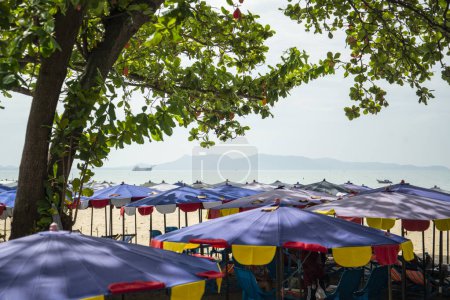 Photo for Umbrella for rent at the Beach and coast at the Beach Road in the city of Jomtien near Pattaya in the Province of Chonburi in Thailand,  Thailand, Jomtien, November, 2022 - Royalty Free Image