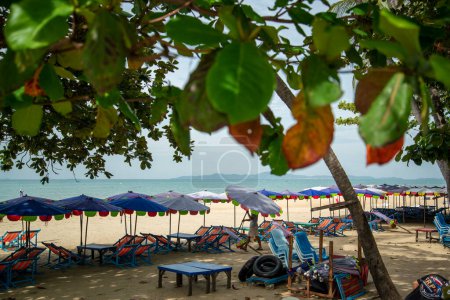 Téléchargez les photos : Umbrella for rent at the Beach and coast at the Beach Road in the city of Jomtien near Pattaya in the Province of Chonburi in Thailand,  Thailand, Jomtien, November, 2022 - en image libre de droit