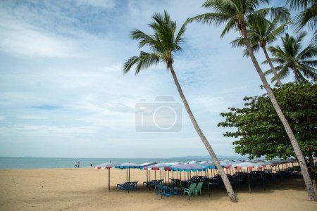 Téléchargez les photos : Umbrella for rent at the Beach and coast at the Beach Road in the city of Jomtien near Pattaya in the Province of Chonburi in Thailand,  Thailand, Jomtien, November, 2022 - en image libre de droit